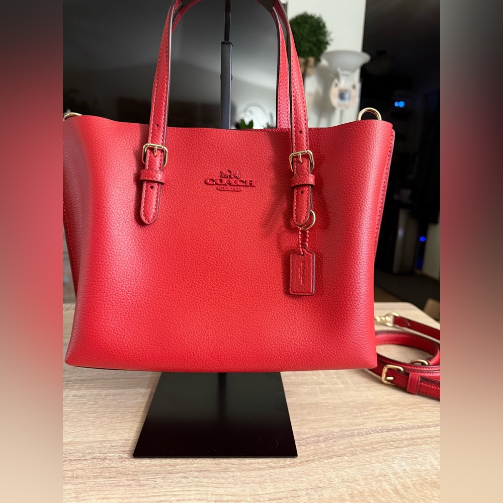 Coach Mollie Leather Tote